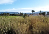 Parcela urbanizable en venta en la España, Oliva, ref: TR117706 foto