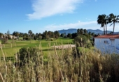 Parcela urbanizable en venta en la España, Oliva, ref: TR117706 foto