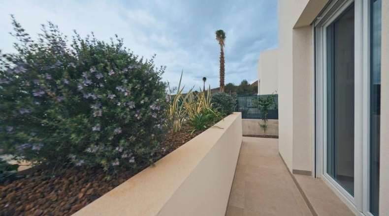 Alicante - Algorfa - 470m2