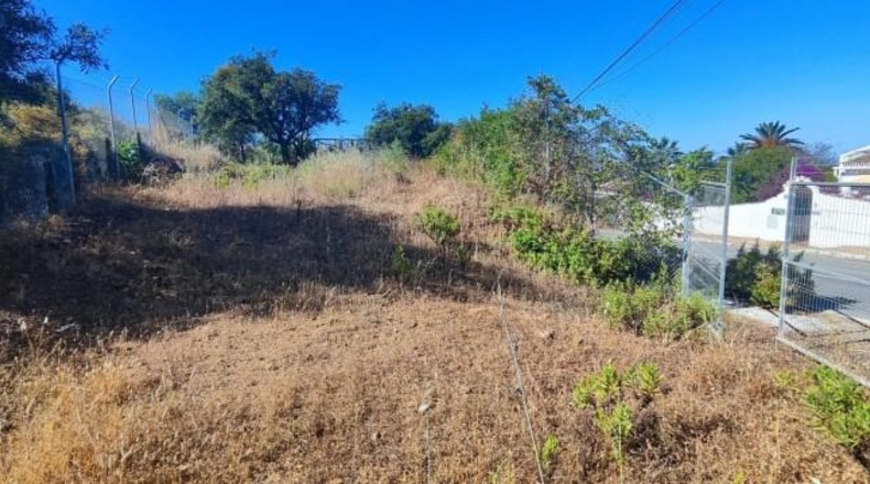 Málaga - Marbella - 1000m2