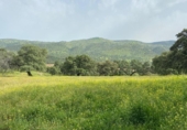 Casa con terreno en venta en la España, Cazalla de la Sierra, ref: TR398433 foto