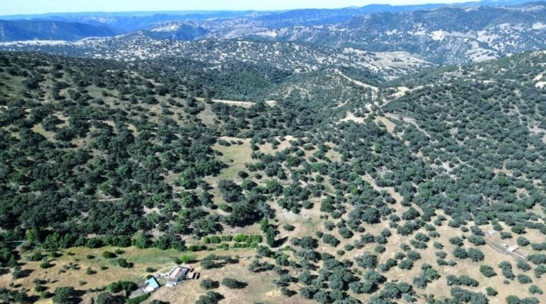 Sevilla - Cazalla de la Sierra - 550000m2