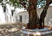 Chalet independiente con terreno en venta en la España, Dénia, ref: TR354419 foto