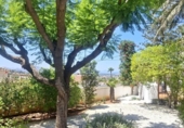 Chalet independiente con terreno en venta en la España, Dénia, ref: TR354419 foto