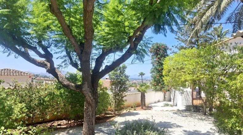 Alicante - Denia - 1009m2