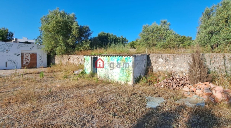 Castellon - Castelló de la Plana - 831m2