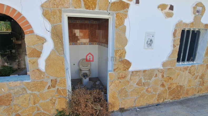 Castellon - Castelló de la Plana - 831m2