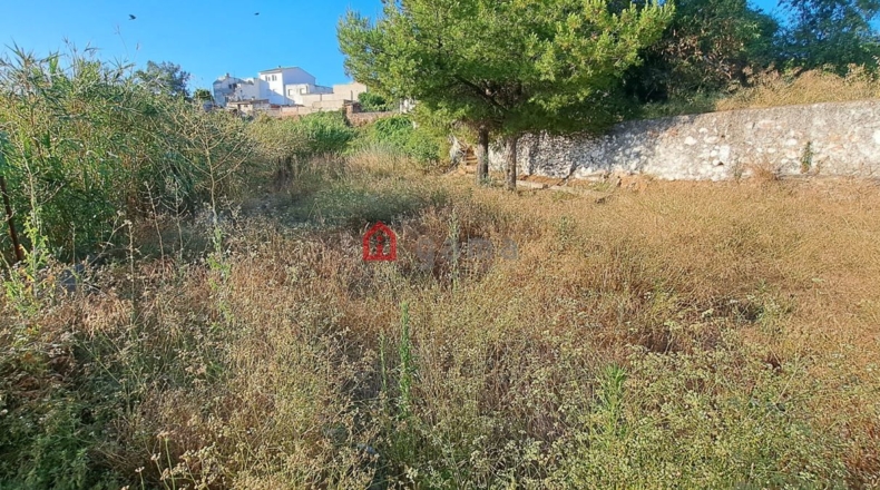 Castellon - Castelló de la Plana - 831m2