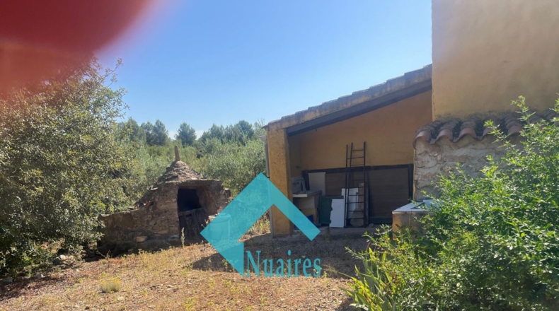 Castellón - Pina de Montalgrao - 94740m2