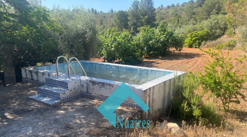 Castellón - Pina de Montalgrao - 94740m2