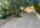 Finca rústica en venta en Murcia ref: TR414250 foto