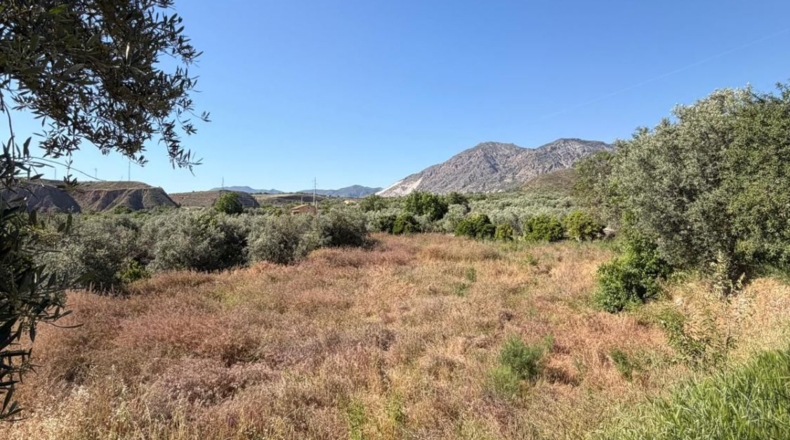 Granada - Béznar - 3000m2