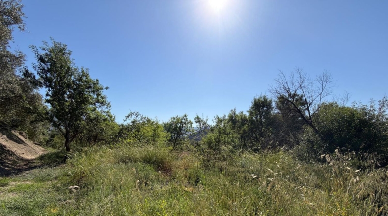 Granada - Béznar - 3000m2