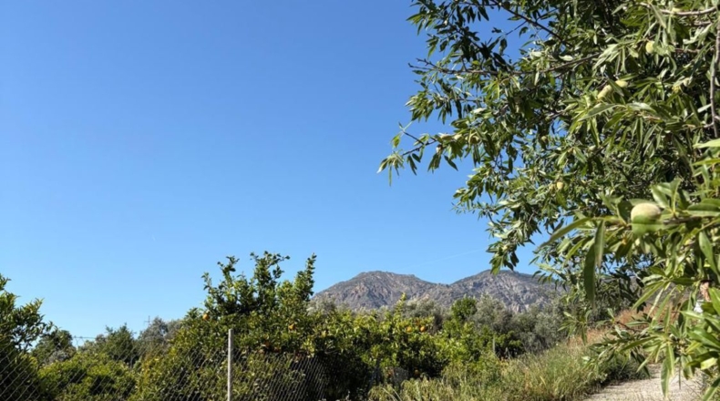 Granada - Béznar - 3000m2