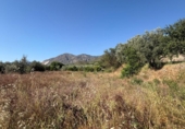 Terreno no urbanizable en venta en Béznar ref: TR414259 foto