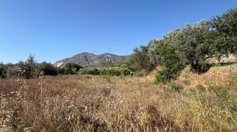 Granada - Béznar - 3000m2
