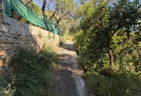 Foto 18
