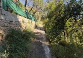 Terreno no urbanizable en venta en Béznar ref: TR414259 foto