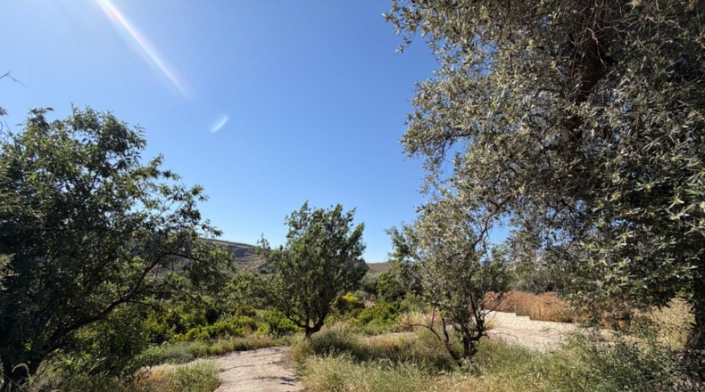 Granada - Béznar - 3000m2