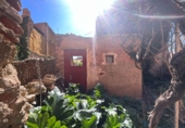 Casa de pueblo en venta en Dúrcal ref: TR414261 foto