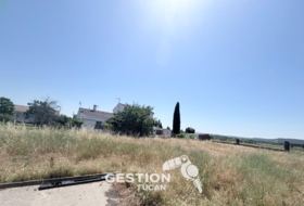 Talavera de la Reina 2785&nbsp;m²
