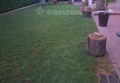 Chalet independiente con terreno en venta en Carmona ref: TR414266 foto