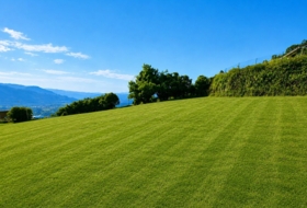 Candamo 1336&nbsp;m²