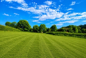 Candamo 1336&nbsp;m²