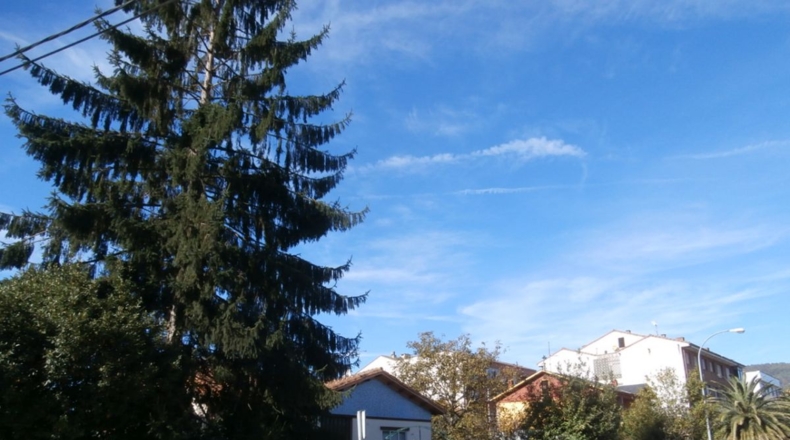 Asturias - El Rodacu - 1500m2