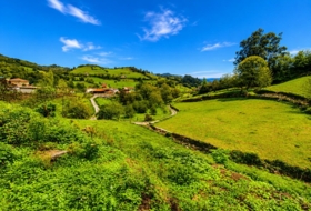 Salas 2301&nbsp;m²
