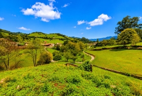 Salas 2301&nbsp;m²