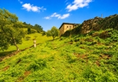 Finca rústica en venta en Salas ref: TR414270 foto