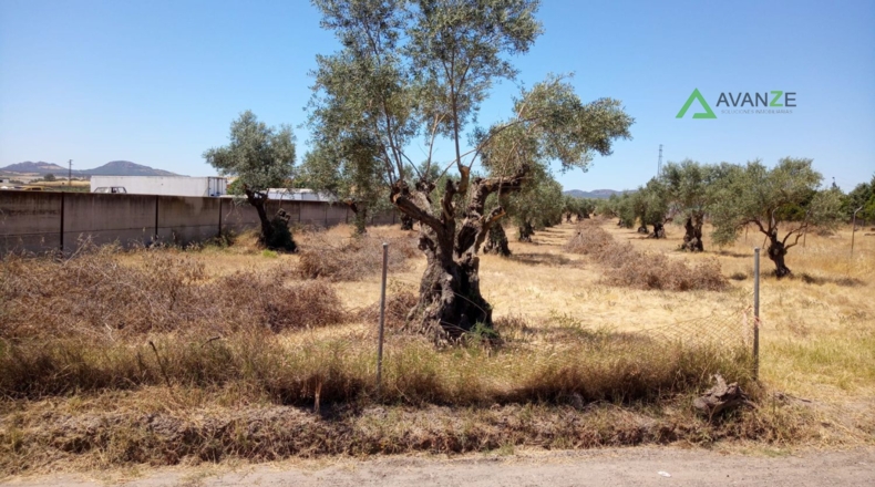 Badajoz - Mèrida - 4048m2