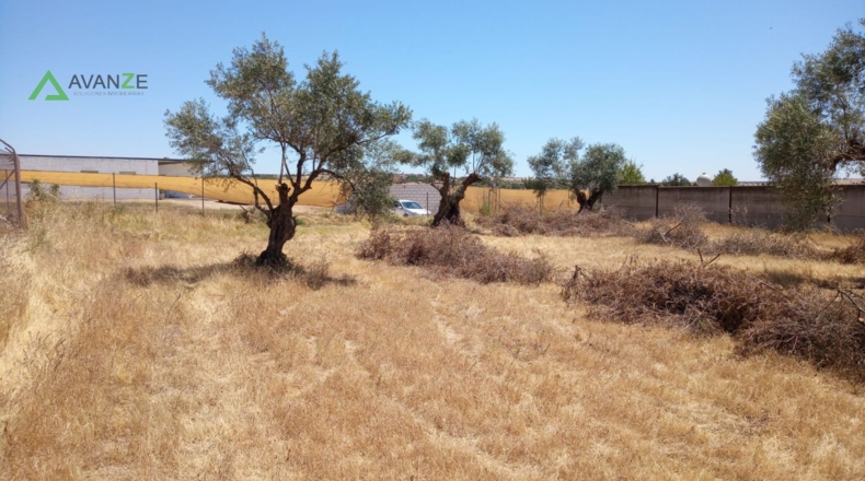 Badajoz - Mèrida - 4048m2