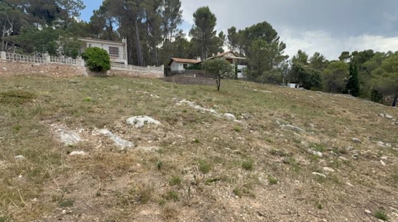 Valencia - Utiel - 1551m2