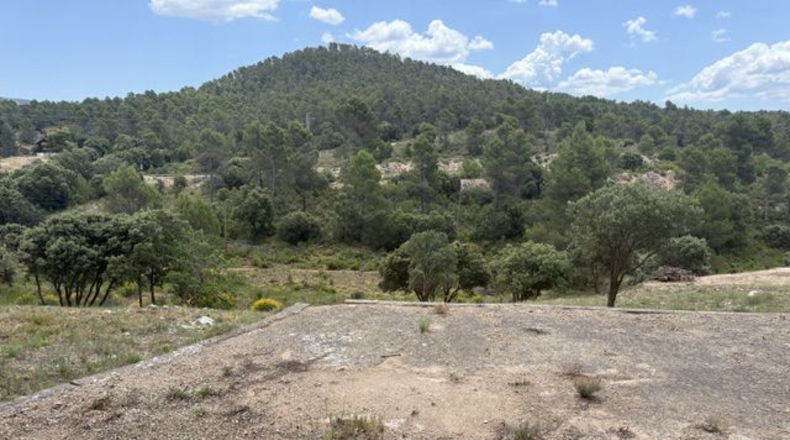 Valencia - Utiel - 1551m2