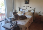 Chalet independiente con terreno en venta en Jaén ref: TR414284 foto