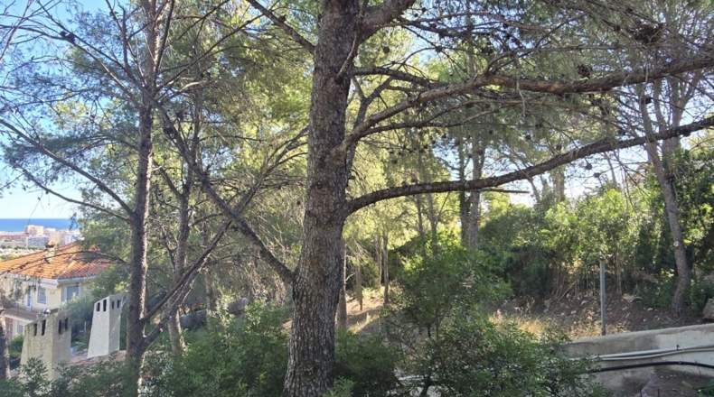 Castellón - Oropesa del Mar - 665m2