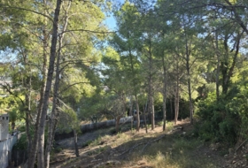 Oropesa del Mar 665&nbsp;m²