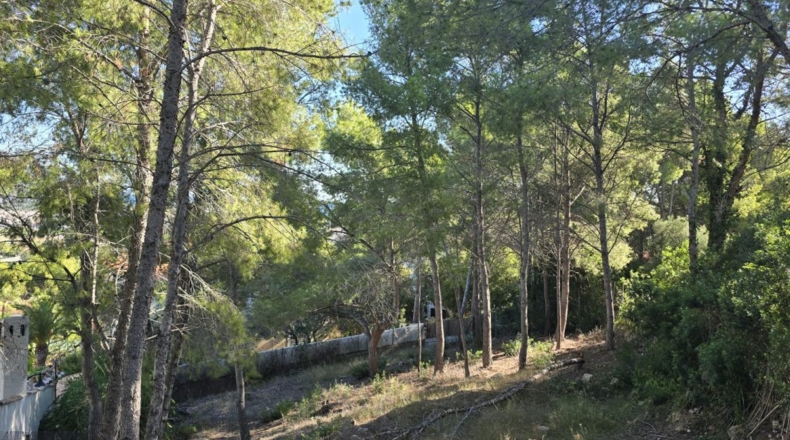 Castellón - Oropesa del Mar - 665m2