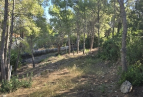 Oropesa del Mar 665&nbsp;m²