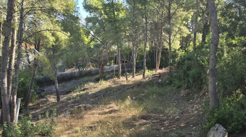 Castellón - Oropesa del Mar - 665m2