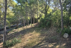 Oropesa del Mar 665&nbsp;m²