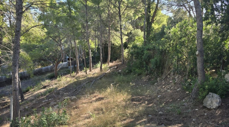 Castellón - Oropesa del Mar - 665m2
