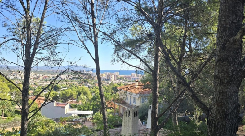 Castellón - Oropesa del Mar - 665m2