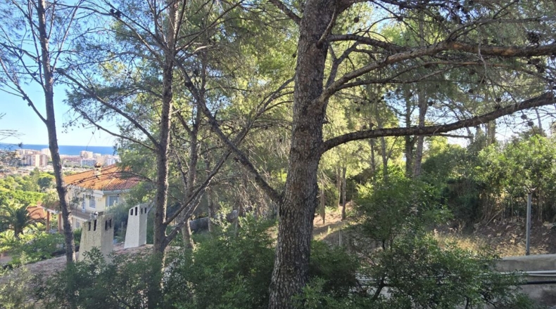 Castellón - Oropesa del Mar - 665m2