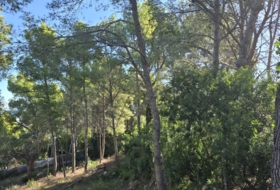 Oropesa del Mar 665&nbsp;m²