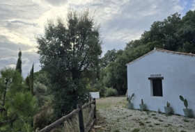 Jubrique 5000&nbsp;m²