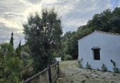Finca rústica en venta en Jubrique ref: TR414298 foto