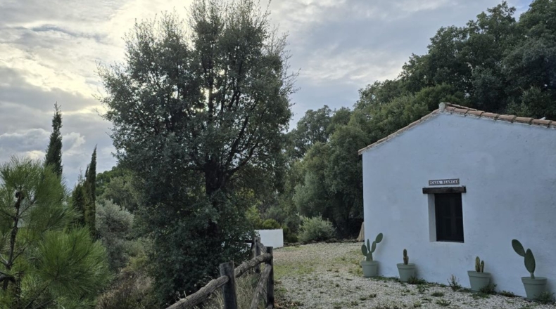 Málaga - Jubrique - 5000m2